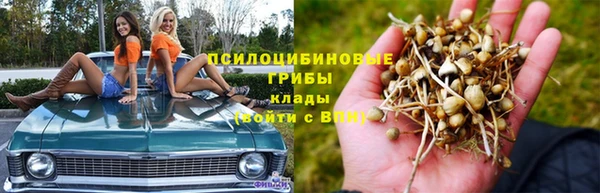 амф Алзамай
