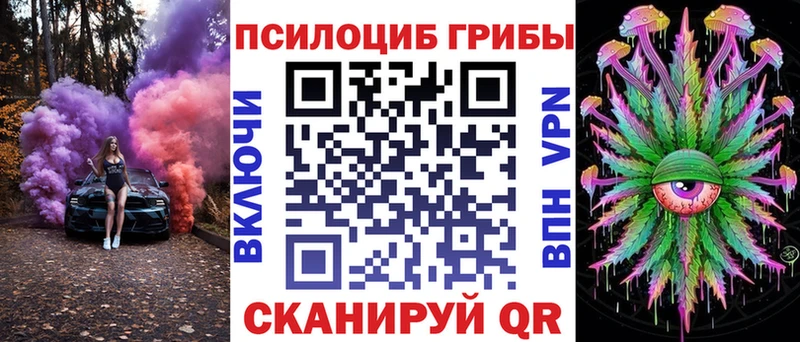 где купить наркоту  Саянск  Галлюциногенные грибы Psilocybe 